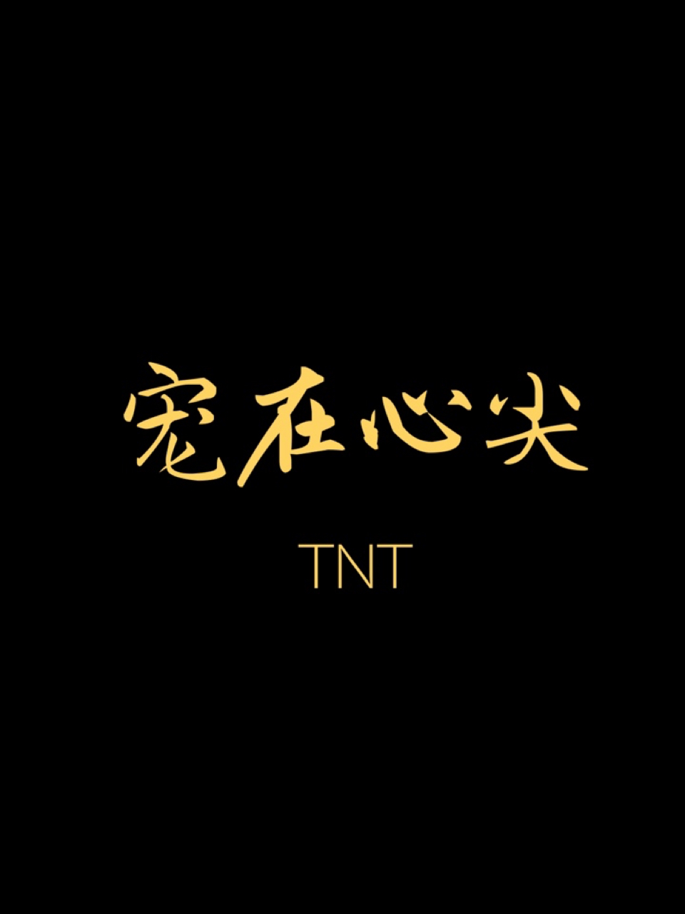 TNT：宠在心尖