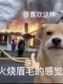 ——从1999至今仍然一事无成