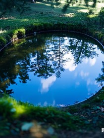 谁家穿越变成个水潭啊？