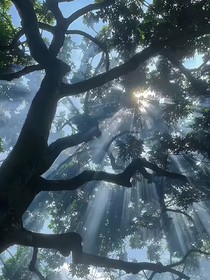 斗龙之欢乐校园