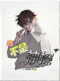 我不是神探