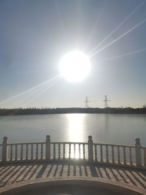 李，董，尘，轩