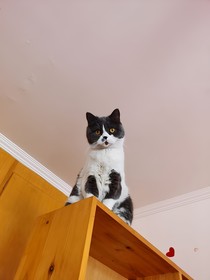 娱乐圈边缘团宠