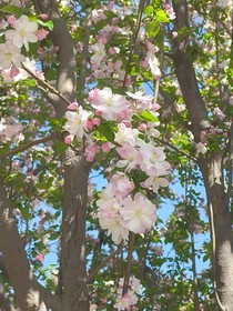 破茧重生之逆流而上