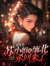 夜先生，苏小姐从缅北杀回来了