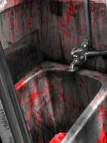 只有烟雨不见玫瑰