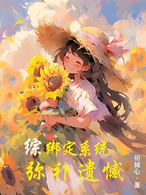 综：绑定系统，弥补遗憾