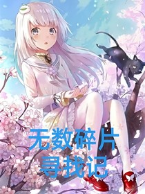 无数碎片寻找记