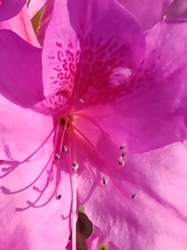 漫画聊天群（艾宝，小伊，小瑾，七七）