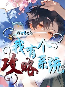 Notch—我有个攻略系统