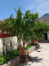 阿逸司的奇闻异事