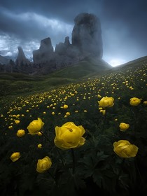 归于人海：我们永远都不会有真的相爱