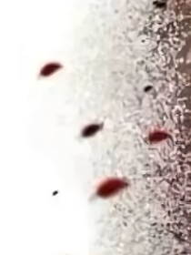 奔跑吧兄弟之陈情天团-d448