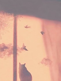 相遇即是幸运与永远