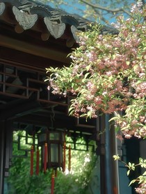 探案吗？边吵架边破案的那种