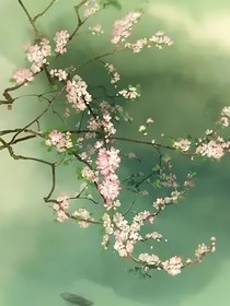 杏花春雨缘浅