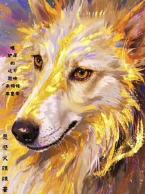 综影视：拿捏铲屎官