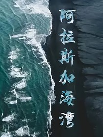在阿拉斯加海湾