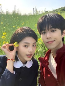 风吹过你的发梢