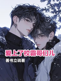 爱上了校霸哥们儿