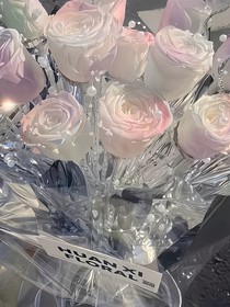 黑夜中绽放的蔷薇