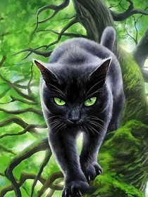 猫武士——银河之下