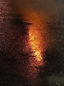 身为女生却天生拥有后宫属性