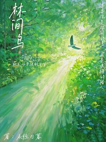 林间之鸟