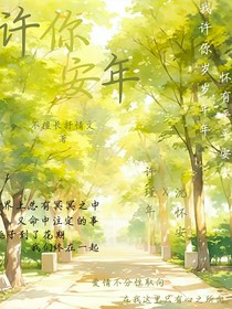 许你安年