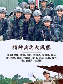 特种兵之火凤凰续集更新中