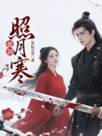 孤剑照月寒
