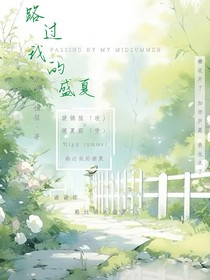 路过我的盛夏