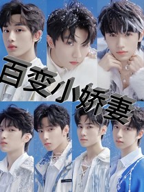 百变小娇妻