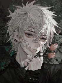 快穿：万人迷才是大佬