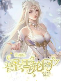 武魂殿之圣雪轮回