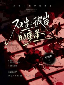 双生：彼岸的重逢