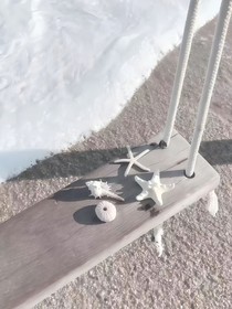 宇宙中心：飞鸟和蝉