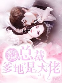 报告妈咪，总裁爹地是大佬