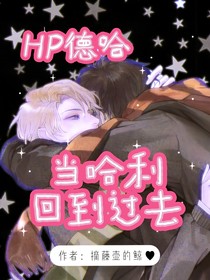 HP德哈：当哈利回到过去