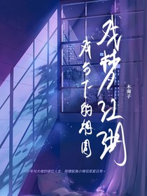 戏梦江湖（戏台之下的烟圈：少年与大佬的错位人生）