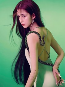 沙海之呦呦鹿鸣