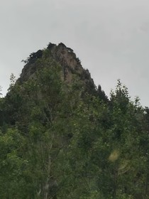 我就这么贱，你来打我啊