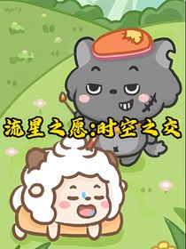 流星之愿：时空之交