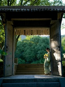 四合院之孤女也幸福