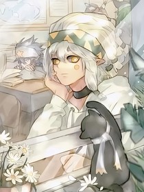 凹凸世界：想保护的他