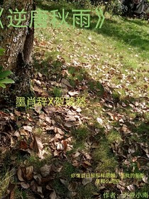 逆唐秋雨
