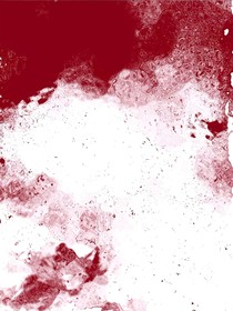 在心跳停搏之前