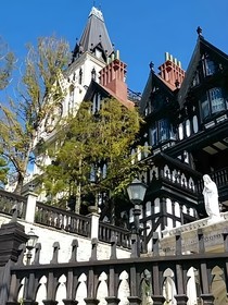 萌学园：奈亚的宿命