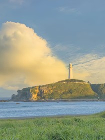 来到人间看NPC们运行