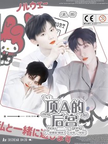 TNT：顶A的后宫